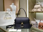 Chloe Original Quality Handbags 259