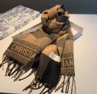 DIOR Scarves 129