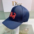 DIOR Hats 68