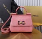 Dolce & Gabbana High Quality Handbags 683