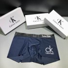 Calvin Klein Men's Underwear 242