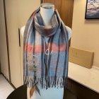 Burberry Scarves 262