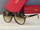 Cartier High Quality Sunglasses 1615