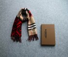 Burberry Scarves 395