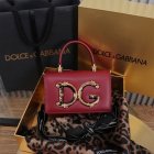 Dolce & Gabbana High Quality Handbags 21