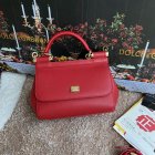 Dolce & Gabbana High Quality Handbags 207