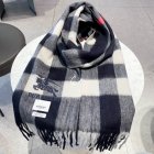 Burberry Scarves 133