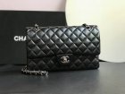 Chanel High Quality Handbags 537