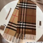 Burberry Scarves 21