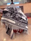 DIOR Scarves 122