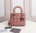 DIOR Original Quality Handbags 952