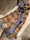 Burberry Scarves 243