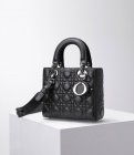 DIOR Original Quality Handbags 862