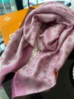 Louis Vuitton Scarves 199
