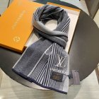 Louis Vuitton Scarves 15