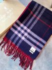 Burberry Scarves 279