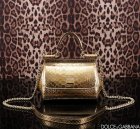Dolce & Gabbana Original Quality Handbags 103
