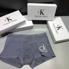 Calvin Klein Men's Underwear 227