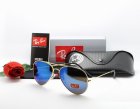 Ray-Ban Normal Quality Sunglasses 114