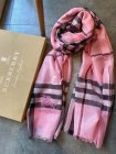 Burberry Scarves 309