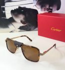 Cartier High Quality Sunglasses 1364