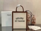 CELINE Original Quality Handbags 519