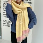 DIOR Scarves 241