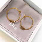 Dior Jewelry Earrings 105