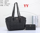 Coach Normal Quality Handbags 229