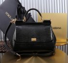 Dolce & Gabbana High Quality Handbags 356