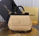 Dolce & Gabbana High Quality Handbags 693