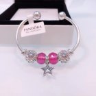 Pandora Jewelry 2042