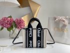 Chloe Original Quality Handbags 163