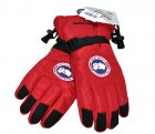 Canada Goose Gloves 02