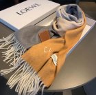 Loewe Scarves 40