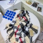 Burberry Scarves 463