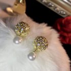 Dior Jewelry Earrings 71