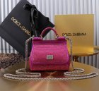 Dolce & Gabbana Original Quality Handbags 480