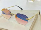 Cartier High Quality Sunglasses 812