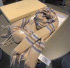 Burberry Scarves 210