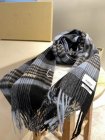 Burberry Scarves 192