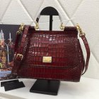 Dolce & Gabbana Handbags 137