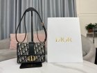DIOR High Quality Handbags 104