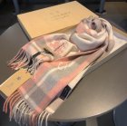 Burberry Scarves 59