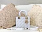 DIOR Original Quality Handbags 817