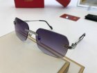 Cartier High Quality Sunglasses 1264