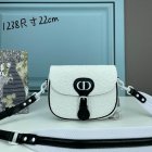 DIOR High Quality Handbags 256