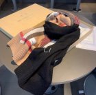 Burberry Scarves 105