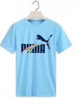 PUMA Men's T-shirt 669