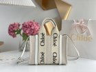 Chloe Original Quality Handbags 136